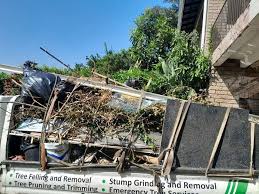 Shed Removal in Dunbar, WV